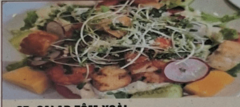 Shrimp Mango Salad