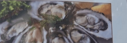 Fresh Oysters (8 pcs)