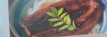 Japanese Eel Rice